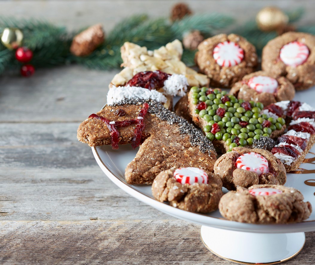 Treat Your Horse to Our Holiday Treats SmartPak Blog