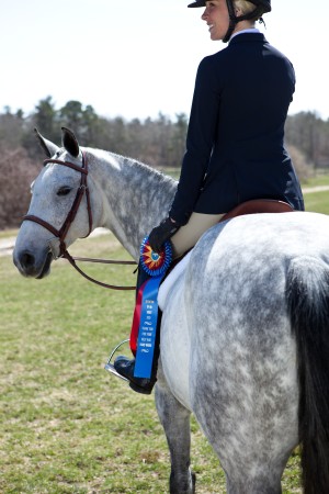 horse and rider at show with champion blue ribbon