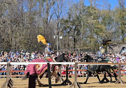 Why I Ride: Jousting