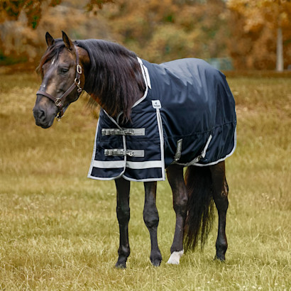Bay horse in the SmartEquine Deluxe Turnout Blanket.
