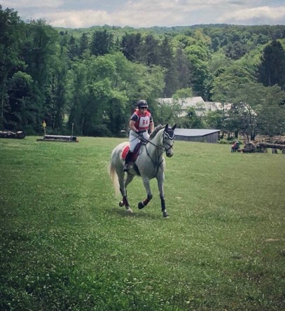 I’d Like to Bubble Wrap My Horse