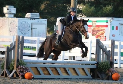 Bay Thoroughbred with white blaze in hunter ring going over fence with pumpkins decorating it