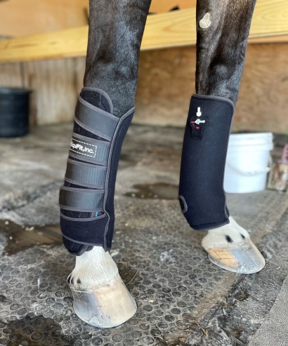 Compression ice boots by EquiFit on a horse's front legs.