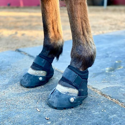 Easyboot Glove Soft hoof boots on a horse's front legs