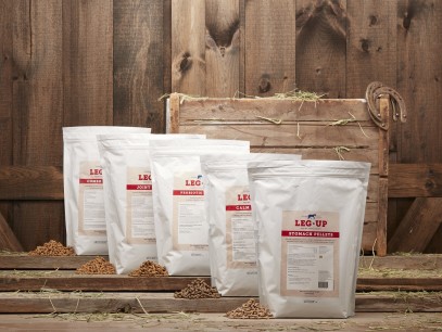 Get a Leg Up with our new line of equine supplements!