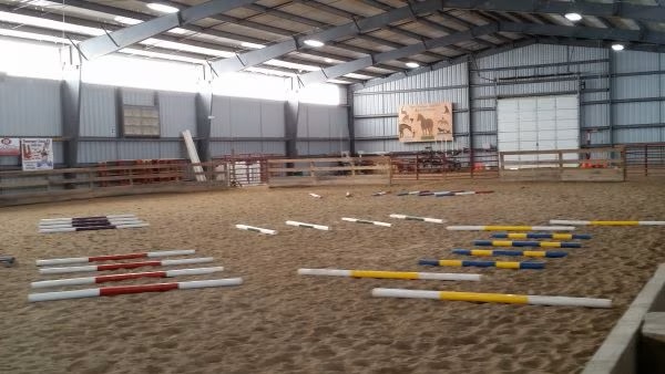 ground pole exercises for horse and rider