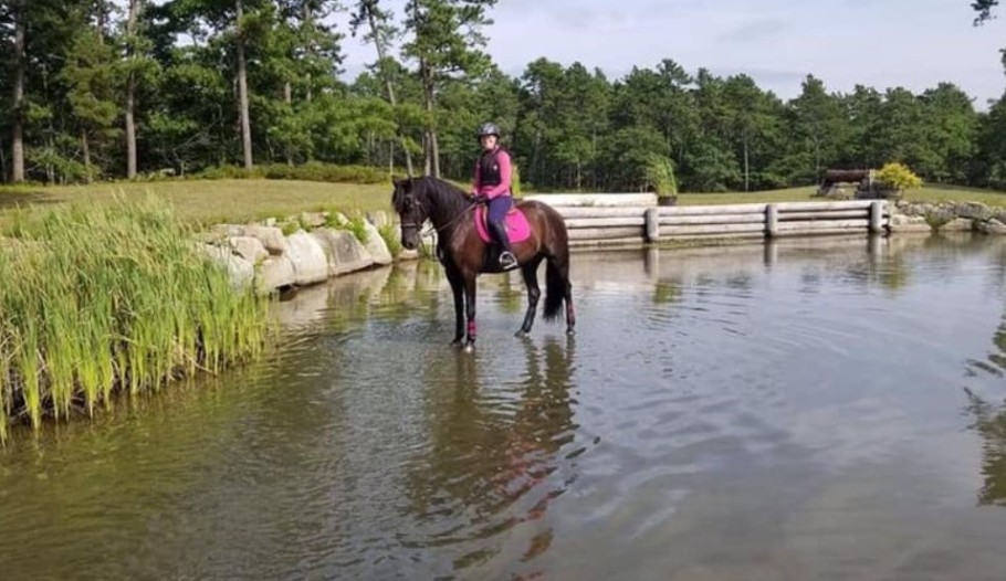 Woman on dark horse with pink saddle pad standing in water on a cross country course