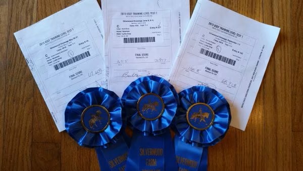 sidesaddle dressage test scores