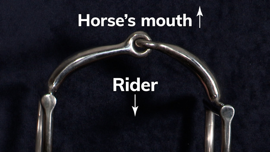 correct direction bit should face when attaching to english bridle
