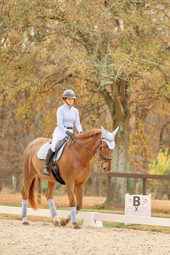 Chestnut horse and rider in a dressage arena with trees changing color in the fall.