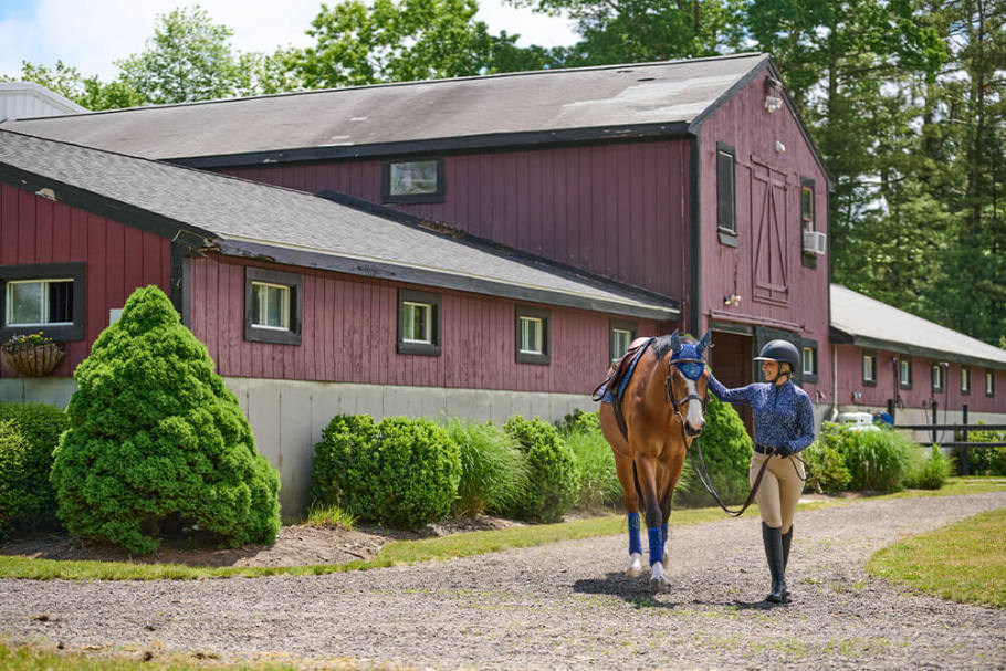Horse and rider walking in front of a beautiful barn.