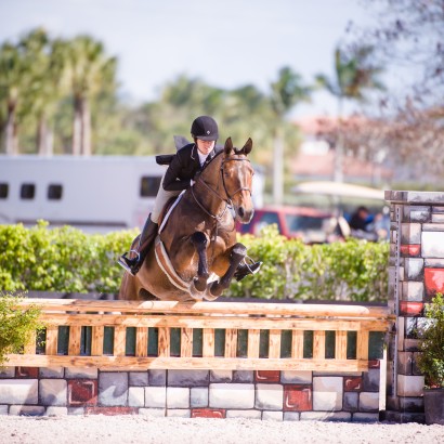 hunter horse and rider on course at show