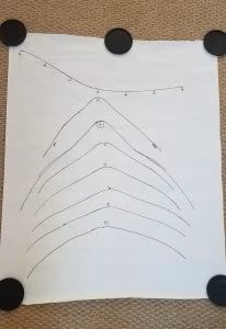 Back tracing of horses withers for side saddle