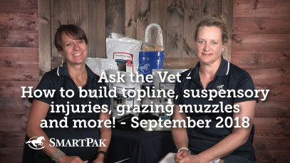 Ask the Vet – How to build topline, suspensory injuries, grazing muzzles & more! – September 2018