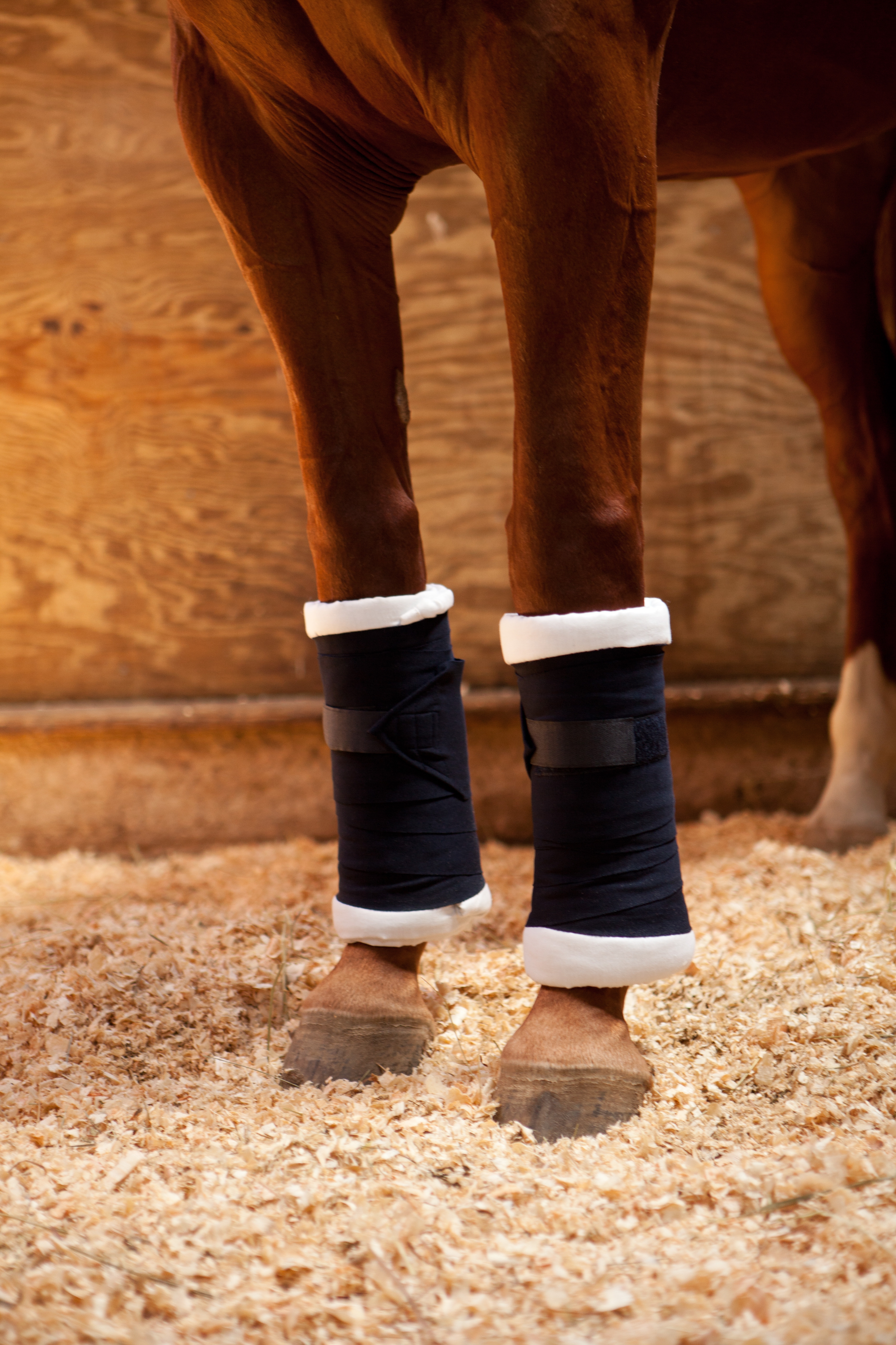 Best fly leg hot sale wraps for horses