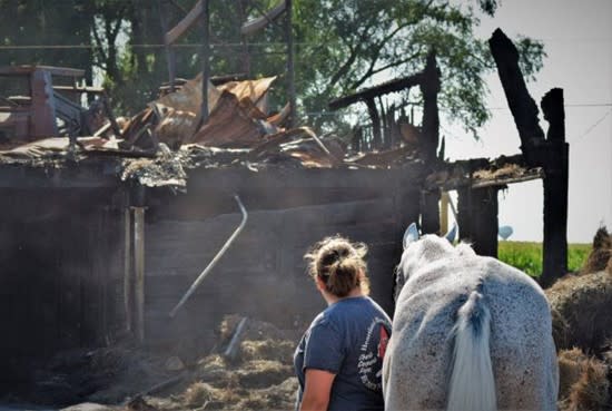 A person standing with a horse in front of a dumpster filled with rubble from a fire.