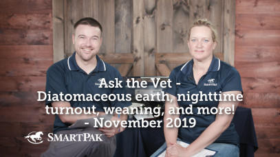 Ask the Vet – Diatomaceous earth, nighttime turnout, weaning, and more! – November 2019
