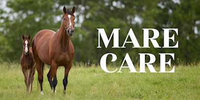 The Horse HealthCast by SmartPak: Mare Care
