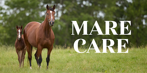 The Horse HealthCast by SmartPak: Mare Care