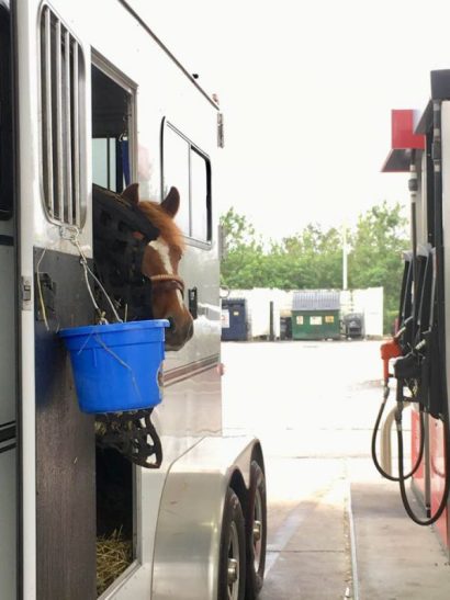 Truck and horse trailer stopped at a gas station for a water break.