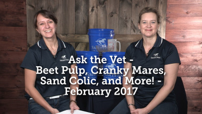 Ask the Vet – Beet Pulp, Cranky Mares, Sand Colic & more! – February 2017