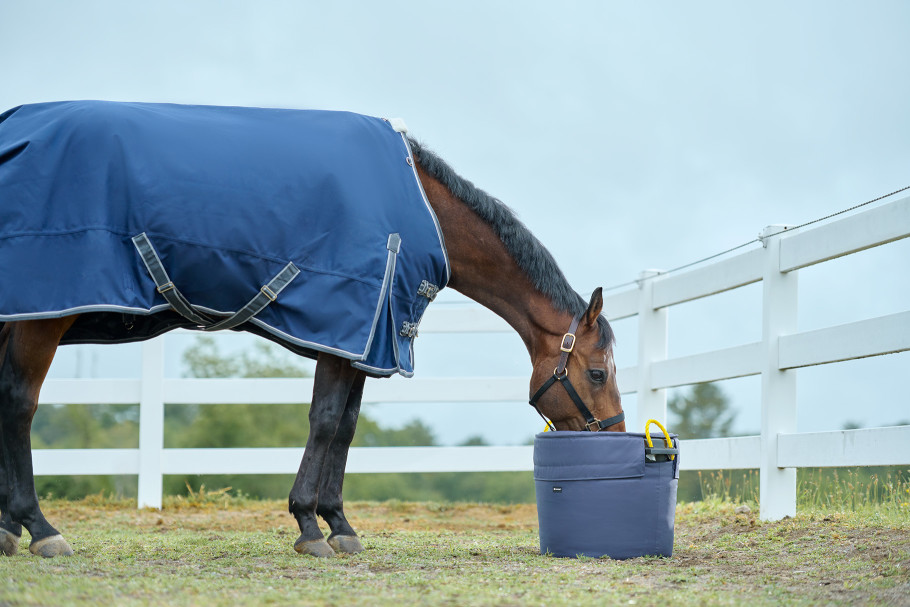 A bay horse drinking water from an insulated tub in a paddock