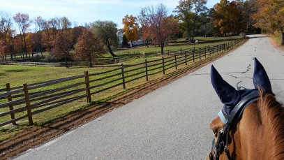 From Co-op to Boarding Barn