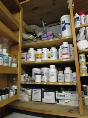 Organized and labeled medicine cabinet in a tack room.