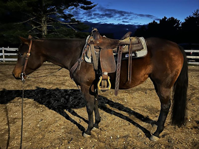 SmartPaker Kit's Top 5 Bathing Tips for Spring