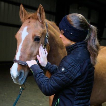 equine massage therapist working on horses face