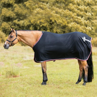 black fleece cooler on a stocky buckskin horse