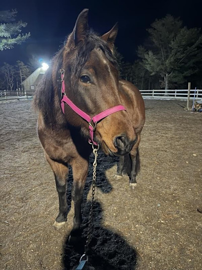 SmartPaker Kit's Top Five Mud Busting Tools 