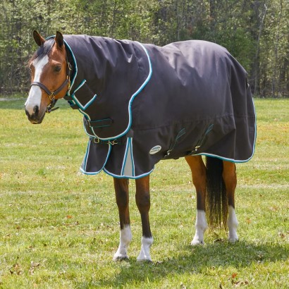 Horse grazing in a snowy paddock wearing the WeatherBeeta ComFiTec Ultra Cozi Detach-A-Neck Turnout Blanket III.