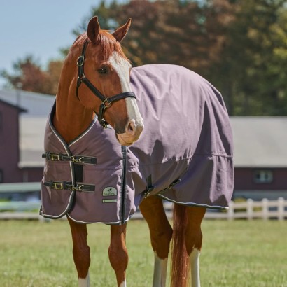 Chestnut horse in the SmartPak Deluxe Turnout Blanket with Earth friendly fabric.