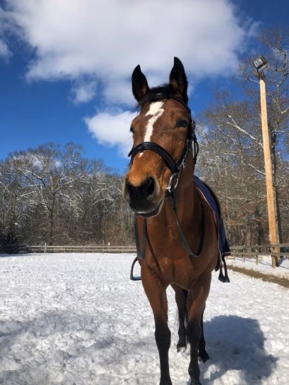 Winterizing & Organizing Tips - Prepare the Barn for Winter