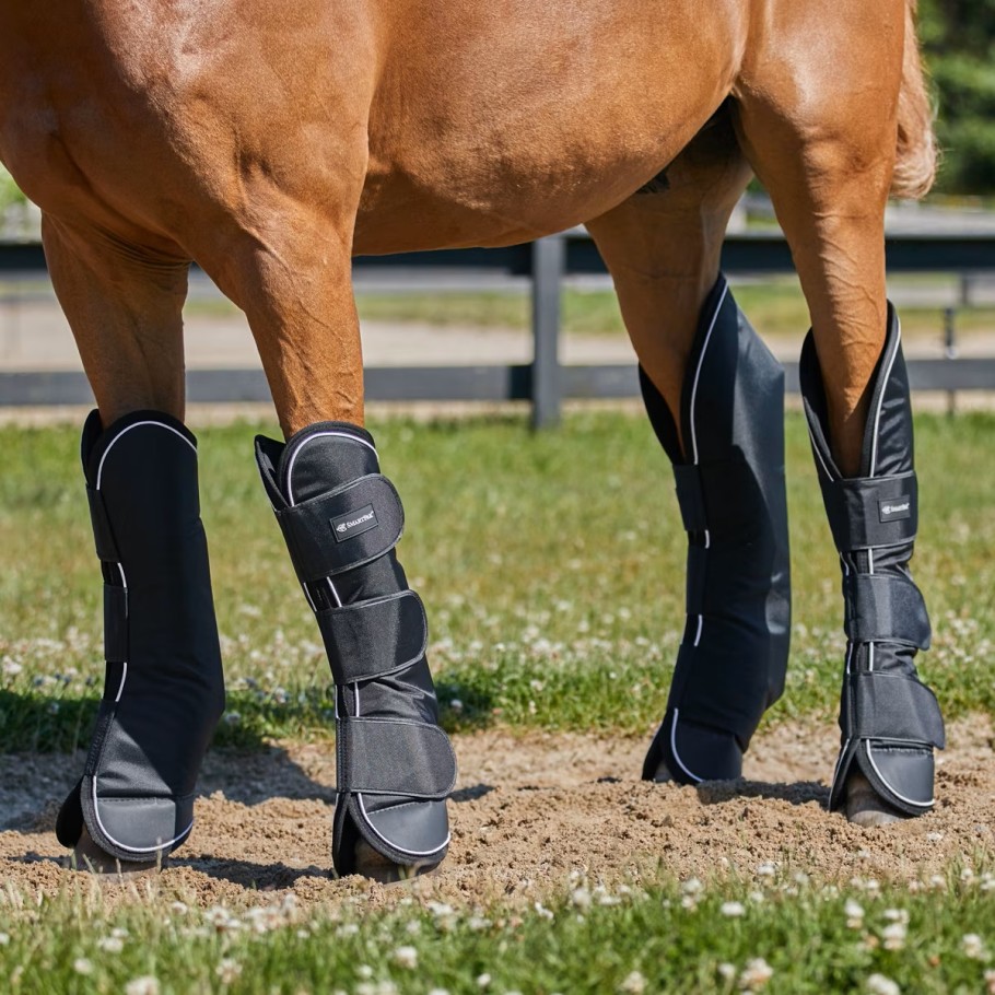 shipping boots on horses legs