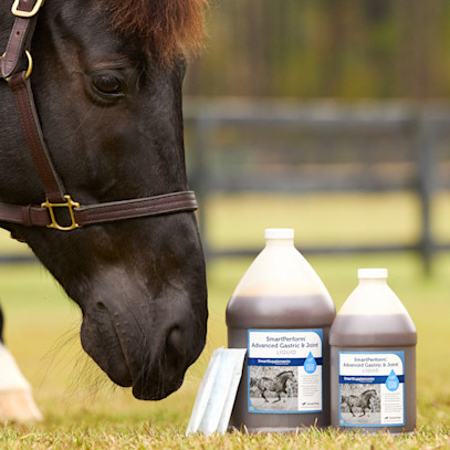 You Asked, We Answered: Introducing NEW LiquidPaks from SmartPak