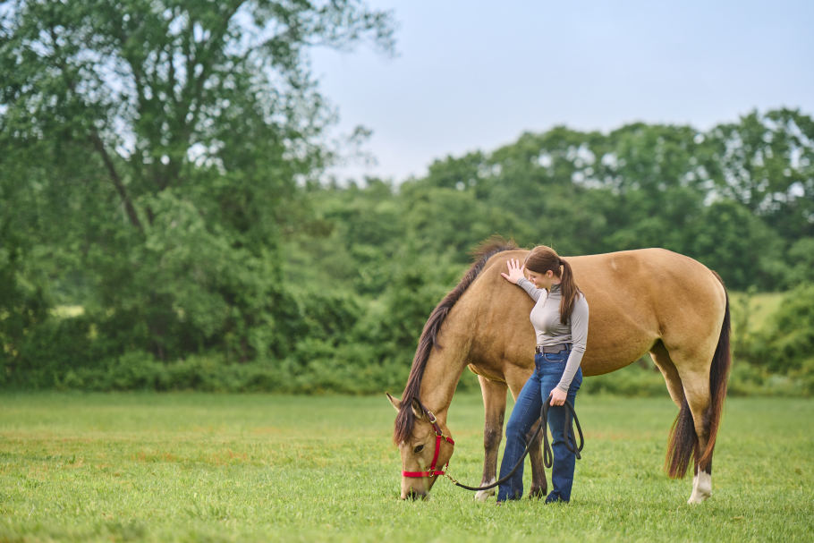 a golden yellow horse in a red halter grazes on fresh green grass, the leadrope on the halter is being held by a brunette woman in a grey shirt and blue jeans