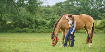 Simple Changes for Happier Horses