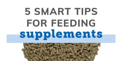 5 Smart Tips for Feeding Supplements