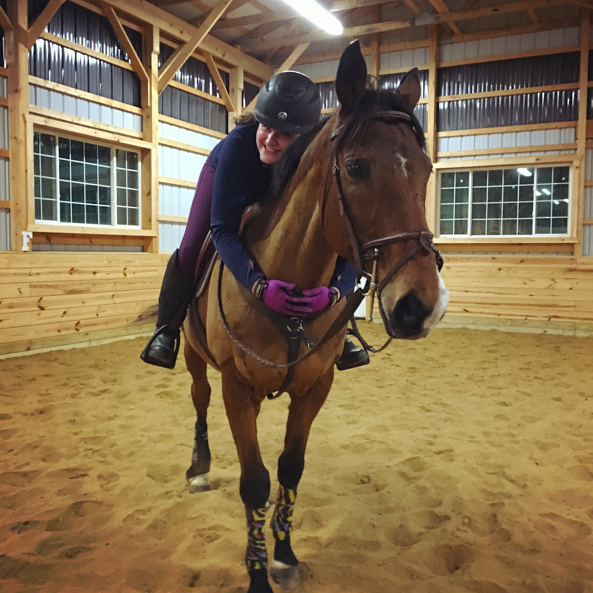 Smartpak Trunk Peek in My Tack Trunk: Alissa H. | SmartPak Blog