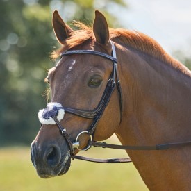 A chestnut horse in a jumper bridle with a figure 8 noseband.