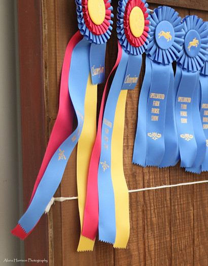 Champion ribbons hanging on barn door