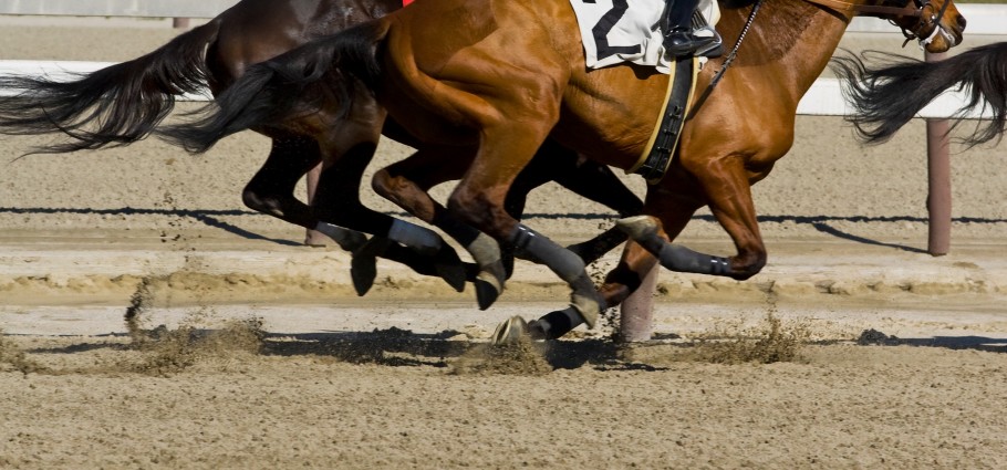 Horse racing sport has long used baking soda to buffer lactic acid in the gut.