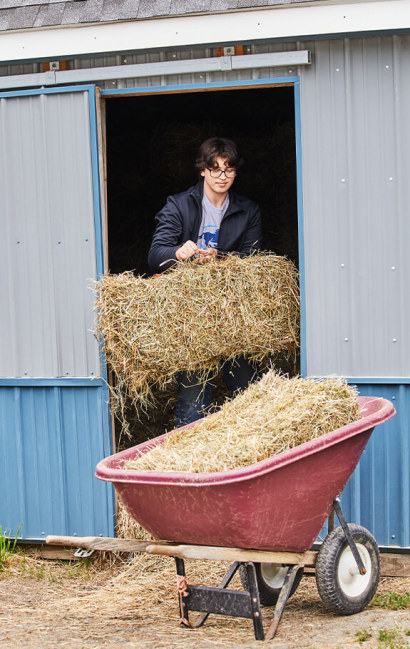 A man putting a bale of hay into a wheelbarrel 