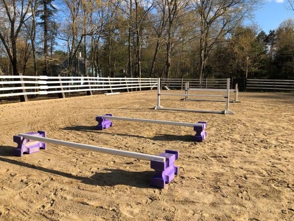 gymnastic jumping exercise for horses set up on the long side of an arena