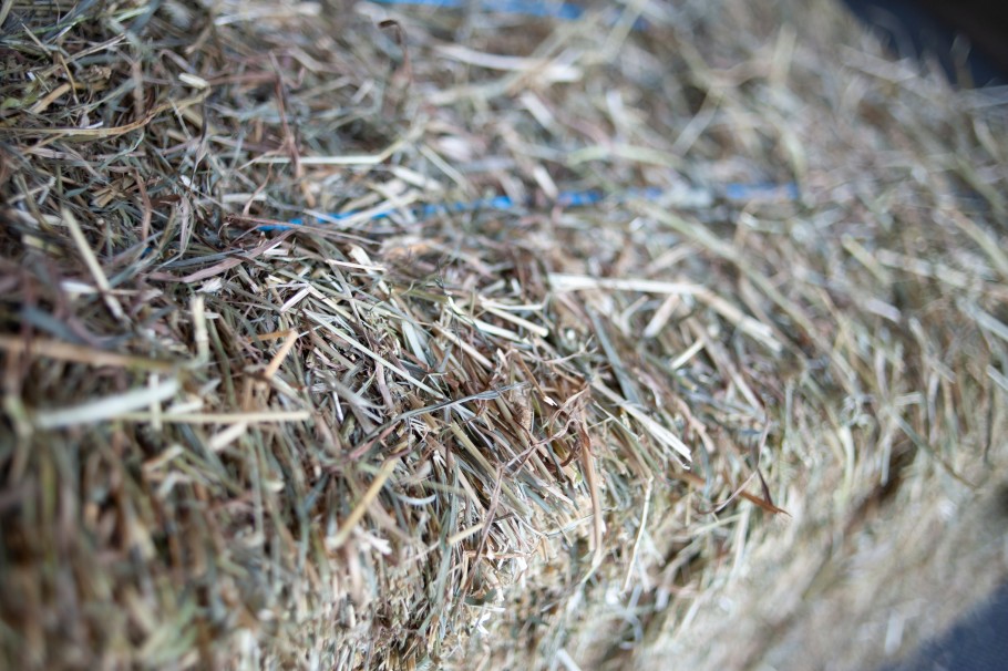 close up on bale of hay