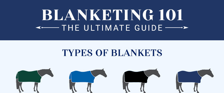 Click to view the Blanketing 101 Ultimate Guide