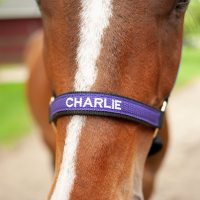 Custom name sewed on a nylon purple horse halter.