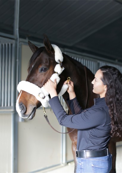 A woman putting a fleece shipping halter on a horse.